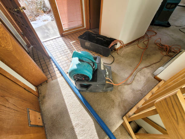 Best Basement water damage restoration  in Layton, UT