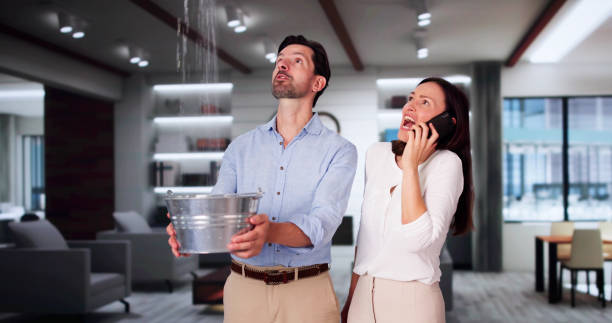 Best Ceiling water damage repair  in Layton, UT